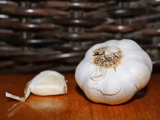 Garlic for Vaginal Odor as a Remedy