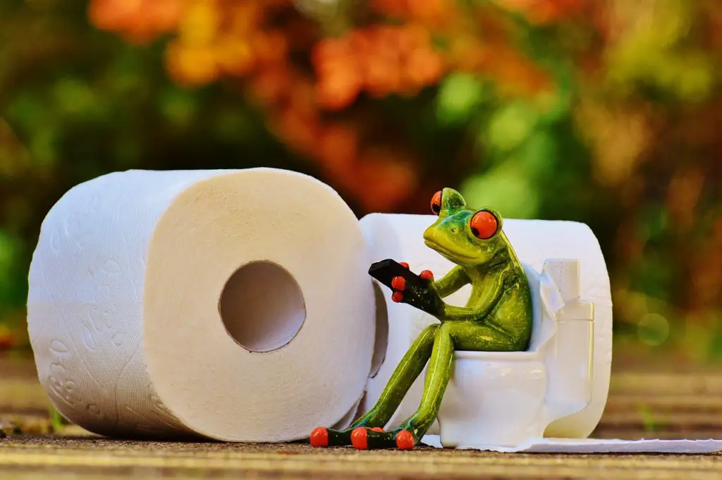 Porcelain Frog Sitting on a Toilet Seat