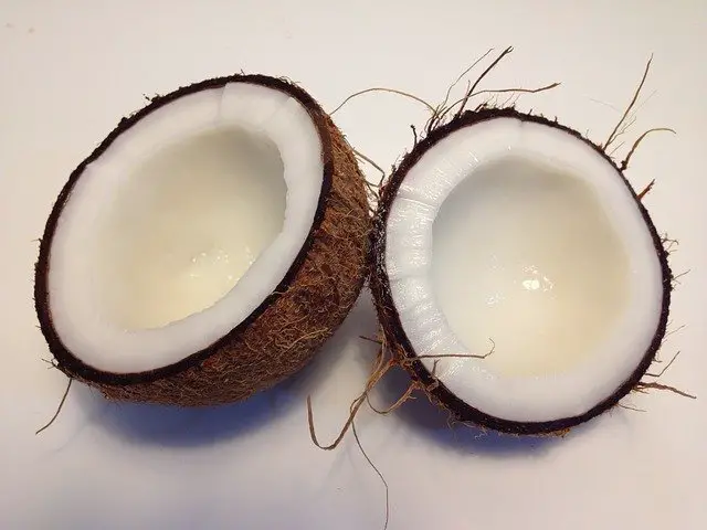 Coconut Sliced in Two Pieces