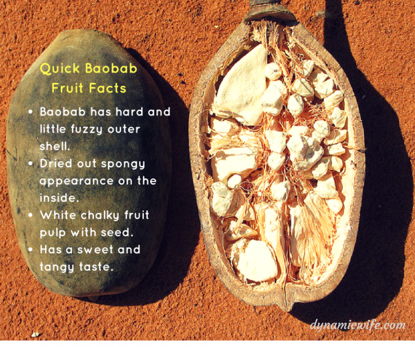 7 Wow Benefits of Baobab Fruit Powder + Interesting Facts!