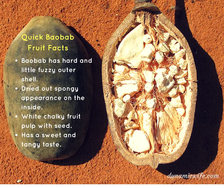 Baobab Fruit Facts - How Baobab Looks Like