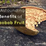 Astounding Benefits of Baobab Fruit