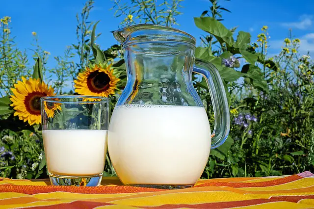 Milk in Glass - Summer Day