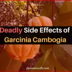 Deadly Side Effects of Garcinia Cambogia