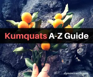 Kumquats A-Z Guide