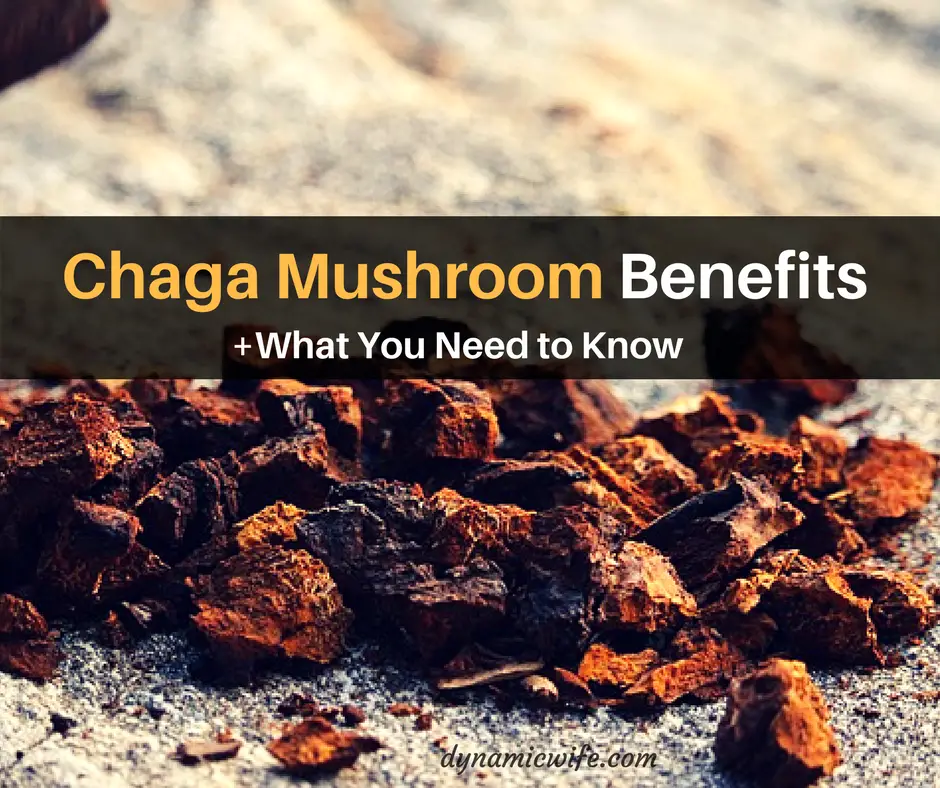 chaga mushroom benefits