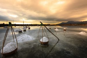 Sea Salt Harvesting